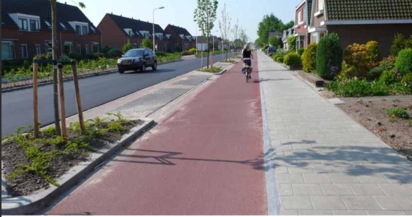 Would you like the Hounslow Road cycle lane to look like this?